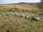 MHG60274_01.JPG