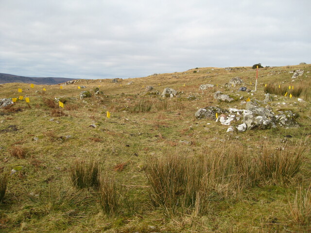 MHG60274_02.JPG