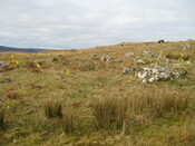 MHG60274_02.JPG