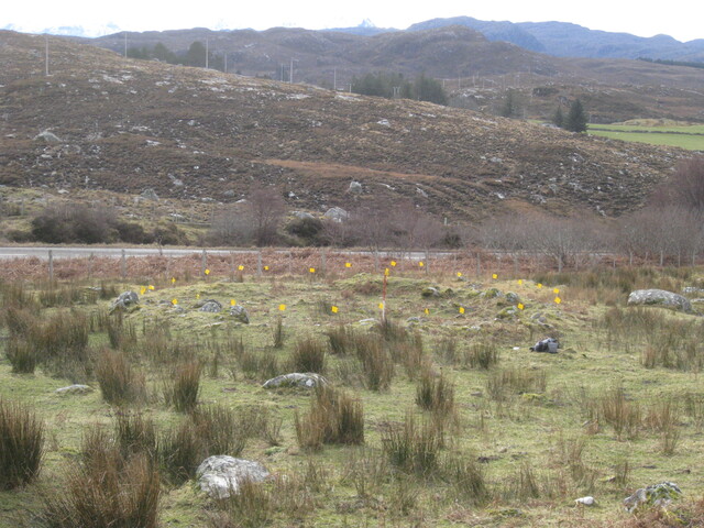 MHG60274_05.JPG