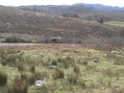 MHG60274_05.JPG