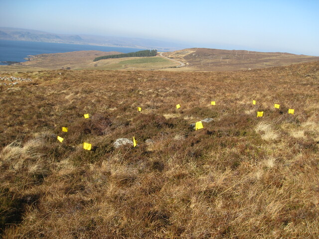 looking NW at smaller circular structure IMG_2026.JPG