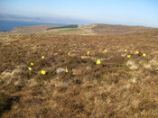 looking NW at smaller circular structure IMG_2026.JPG
