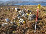 looking W at N sector of wall IMG_2022.JPG