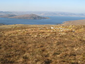 looking W over HC to sea. IMG_2024.JPG