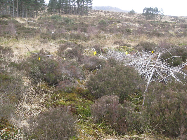 MHG51064_01.JPG