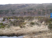 MHG51064_03.JPG