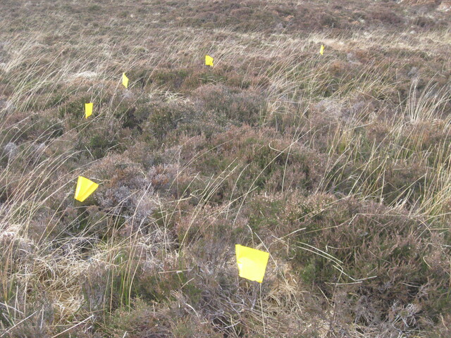 MHG58809_01.JPG