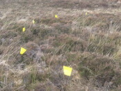 MHG58809_01.JPG