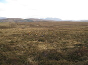 MHG58809_02.JPG