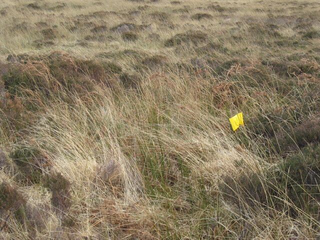 MHG58809_03.JPG