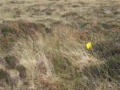 MHG58809_03.JPG