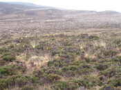 MHG58802_02.JPG