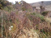 MHG58802_04.JPG