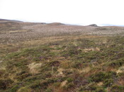 MHG58802_06.JPG