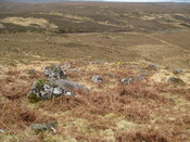 MHG60320_01.JPG
