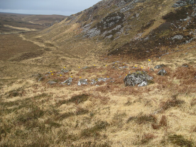 MHG60320_02.JPG