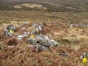 MHG60320_03.JPG