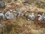 MHG60320_04.JPG