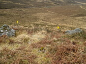 MHG60320_05.JPG