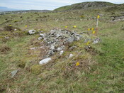 MHG60322_01.JPG