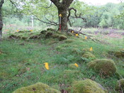 MHG60327_02.JPG