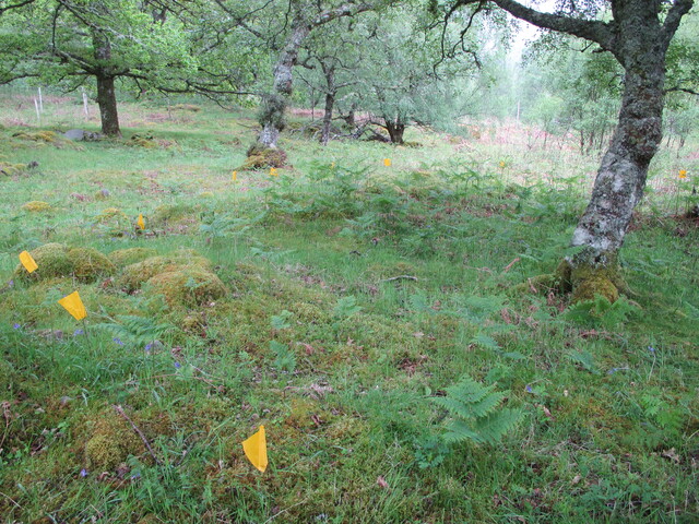 MHG60327_03.JPG