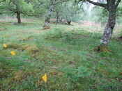 MHG60327_03.JPG