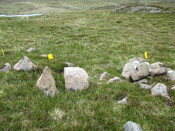 MHG60407_02.JPG