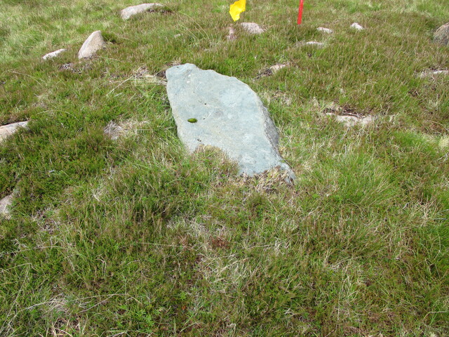 MHG60407_04.JPG