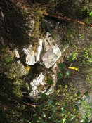 MHG60408_01.JPG