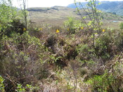 MHG60408_02.JPG