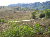 MHG60408_03.JPG
