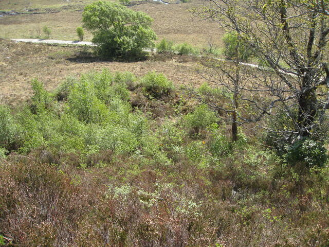 MHG60408_04.JPG