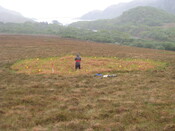 MHG60410_02.JPG