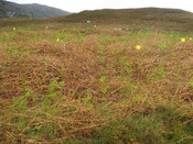 MHG60410_04.JPG