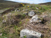 MHG60418_02.JPG