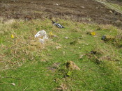 MHG60418_03.JPG