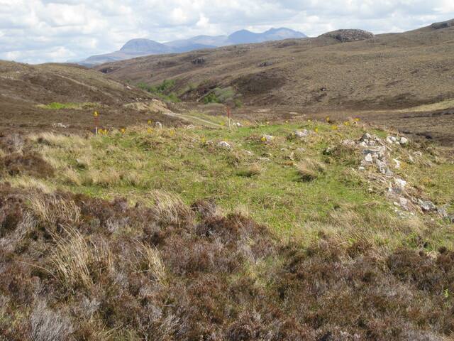 MHG60418_04.JPG
