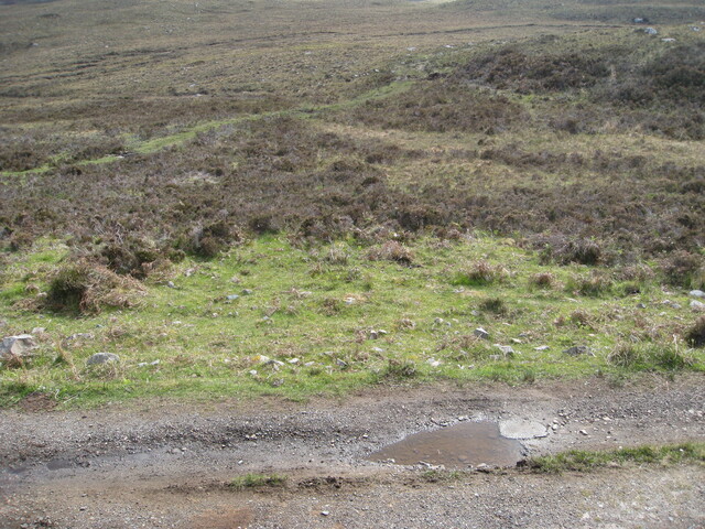 MHG60426_01.JPG