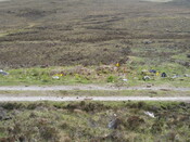 MHG60423_01.JPG