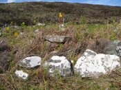 MHG60423_02.JPG