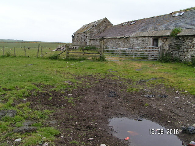 EHG5257_03.jpg