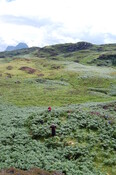 from NW overview includes panorama to SE. 031.JPG