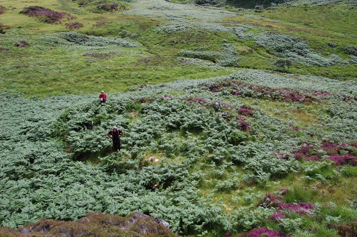 from NW overview with clear outline 029.JPG