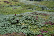 from NW overview with clear outline 029.JPG
