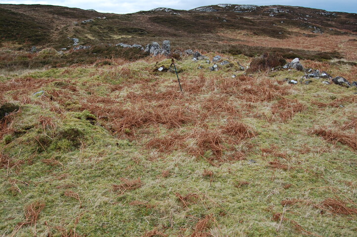 MHG60596_01.JPG