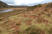MHG60597_01.JPG