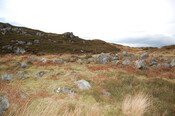 MHG60597_02.JPG
