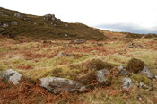 MHG60597_03.JPG